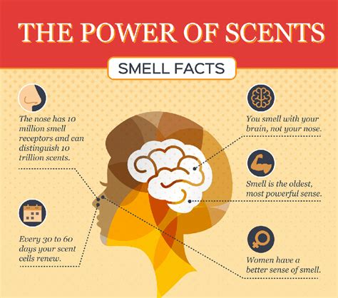 The Scientific Explanations for Experiencing Specific Smells in Dreams