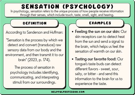 The Sensory Experience: How the Sensation of Touching Your Face Can Influence the Interpretation of Dreams