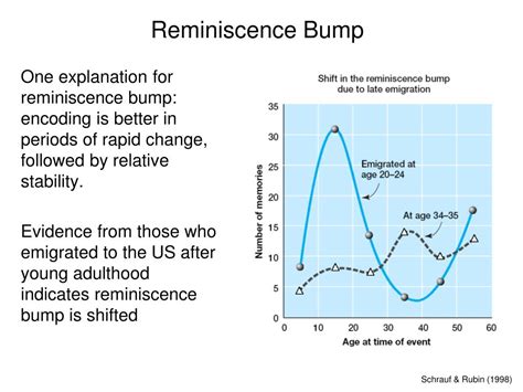 The Sentimentality of Adolescence Reminiscences