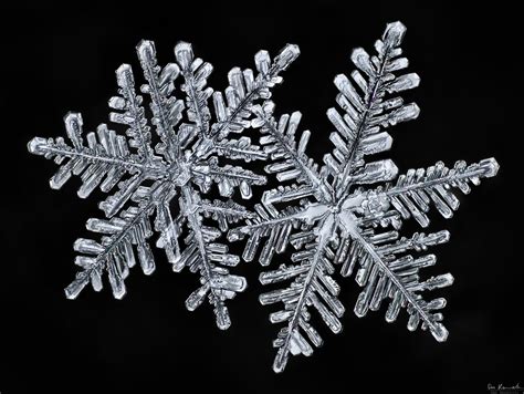 The Serenade of the Snowflakes: Appreciating the Unique Splendor of Each Crystal