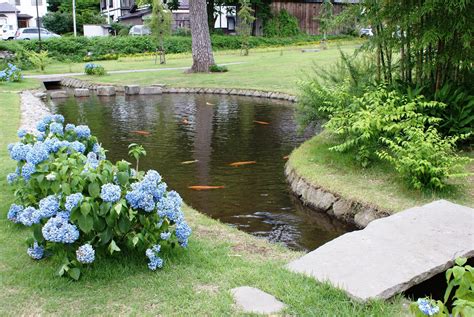 The Serenity of Pond Fishing