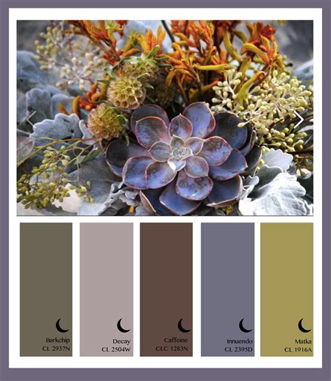 The Shoe Blossom's Natural Color Palette: Exploring the Richness of Natural Dyes and Pigments