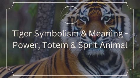 The Significance and Depth of Tiger Symbolism