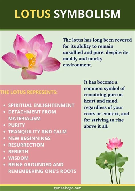 The Significance and Meaning Behind the Golden Blossom