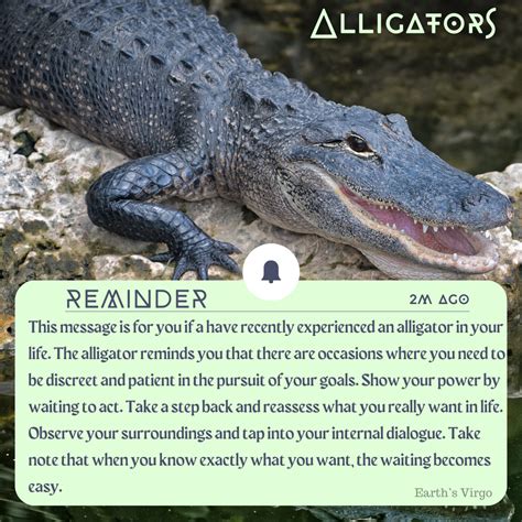 The Significance of Alligators as Guardians of Esoteric Knowledge