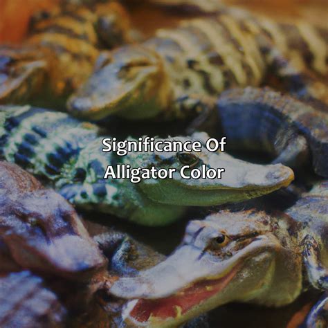 The Significance of Alligators in Diverse Cultures