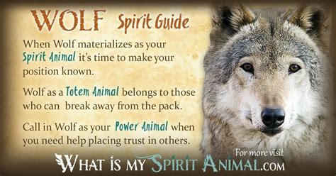 The Significance of Animal Spirit Guides: Deciphering the Presence of the Wolf in Dreamscapes