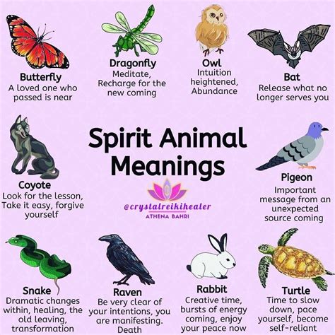 The Significance of Animal Symbols in Dream Interpretation