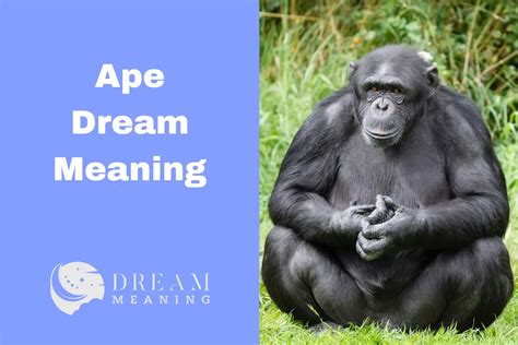 The Significance of Ape Dreams in Unleashing Our Authentic Nature