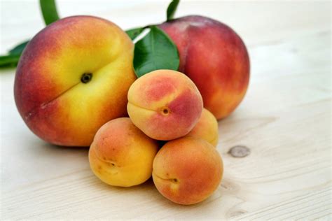 The Significance of Apricots in Various Cultures