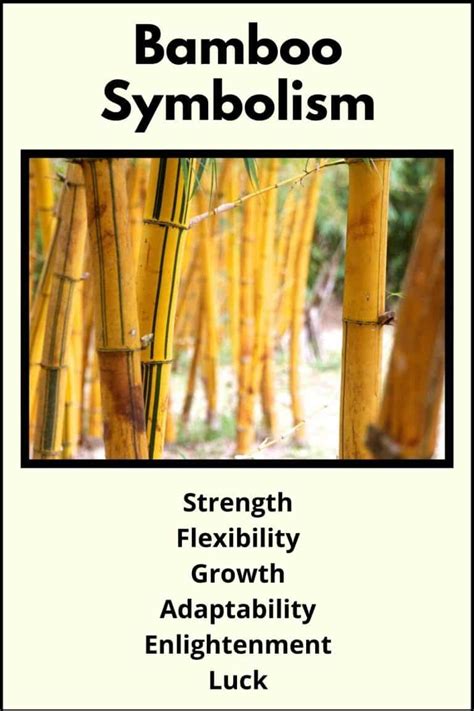 The Significance of Bamboo in Various Cultures