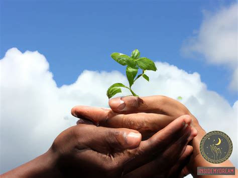 The Significance of Bean Planting Dreams in Different Cultures and Throughout History