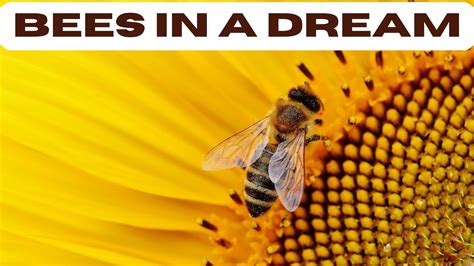 The Significance of Bees on the Face in Dreams: Decoding the Significance