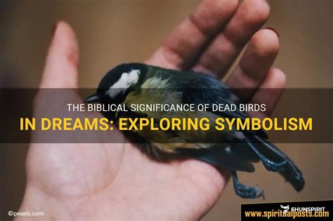 The Significance of Birds in Dreams: Exploring the Interpretation of Bird Attacks