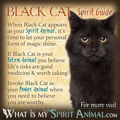 The Significance of Black Feline Creatures in Various Cultures