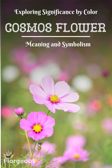 The Significance of Blooms: Exploring the Symbolism and Significances behind Floral Fantasies