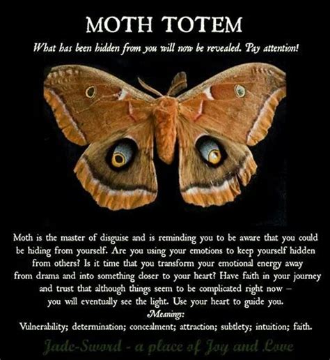 The Significance of Blue Moths in Various Cultural Traditions