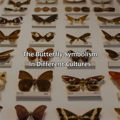 The Significance of Butterflies in Various Cultures