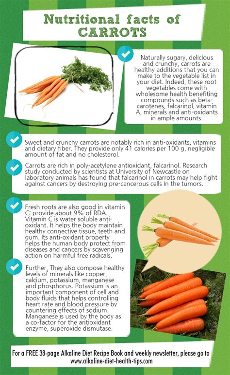 The Significance of Carrots in Contemporary Gastronomy and Nutritional Science