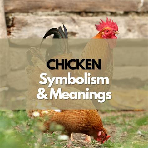 The Significance of Chicken Symbolism in Different Cultures and Historical Periods