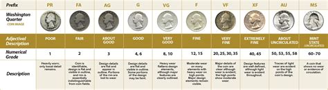 The Significance of Coin Grading: Comprehending the Worth and Condition of Coins