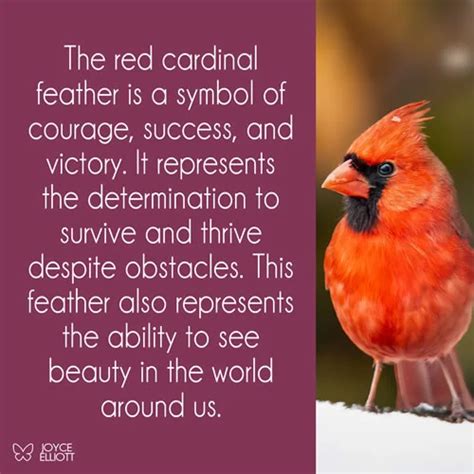 The Significance of Color: Decoding the Symbolism of the Cardinal