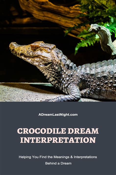 The Significance of Context: Analyzing Various Scenarios in Alligator Dreams