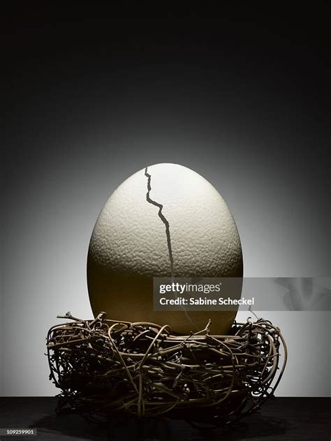 The Significance of Cracked Ostrich Eggs in Contemporary Society