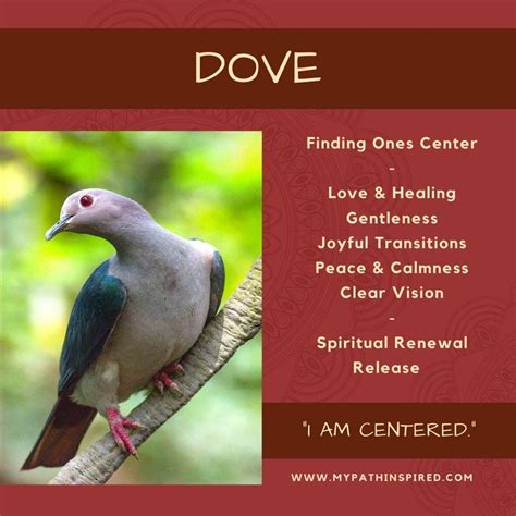 The Significance of Doves in a Spiritual Context