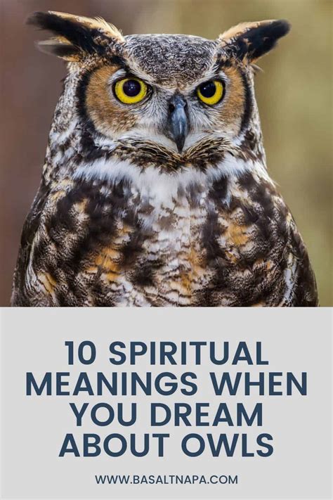 The Significance of Dreaming about Metamorphosing into an Owl