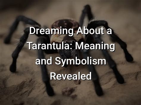 The Significance of Dreaming about Pursuing a Tarantula