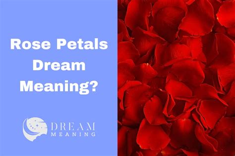 The Significance of Dreaming of Petals Descending