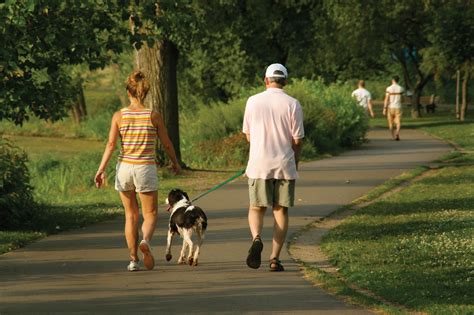 The Significance of Dreaming of Someone Walking a Dog