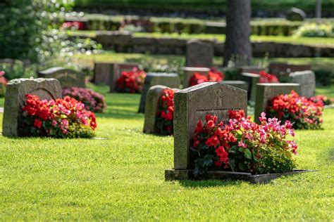 The Significance of Emotions Associated with Dreams Involving Resting on a Cemetery Plot