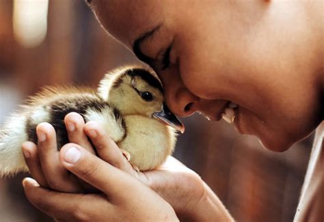 The Significance of Empathy towards Animals