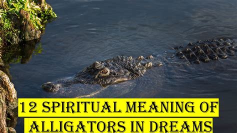 The Significance of Encountering a Deceased Alligator in a Dream