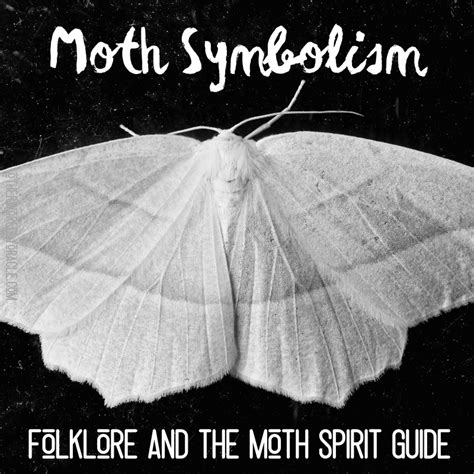 The Significance of Enormous Moths in Folklore and Mythology