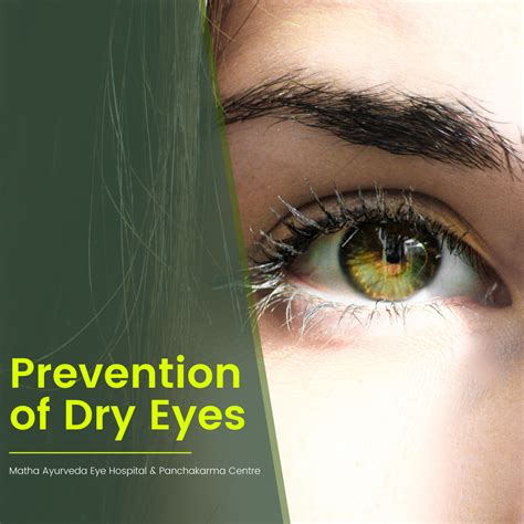 The Significance of Eye Care in the Prevention of Dry Eye