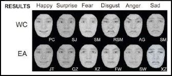 The Significance of Feline Facial Representations across Diverse Cultures