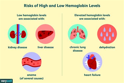 The Significance of Hemoglobin in Dreams and Interpretation