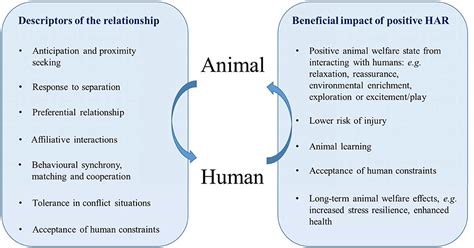 The Significance of Human-Animal Bonds and Their Influence on Wellbeing