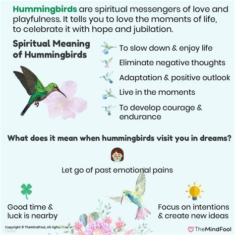 The Significance of Hummingbirds in Native American Dream Beliefs and Spirituality