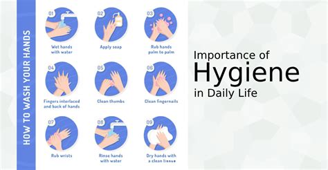 The Significance of Hygiene in Everyday Life