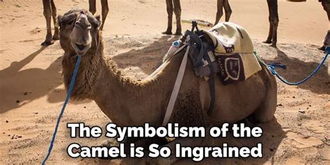 The Significance of Imagining Oneself as a Dromedary: Deciphering the Symbolism and Significance