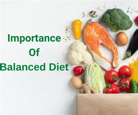 The Significance of Maintaining a Well-Balanced Diet