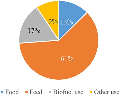 The Significance of Maize for Global Food Security