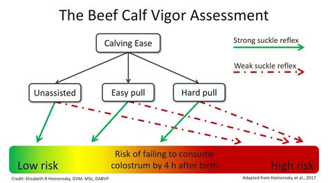 The Significance of Meat in Representing Dominance and Vigor