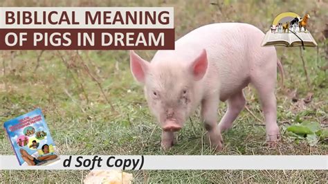 The Significance of Metamorphosing Into a Swine in Dreams