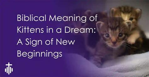 The Significance of New Beginnings in Dream Interpretation