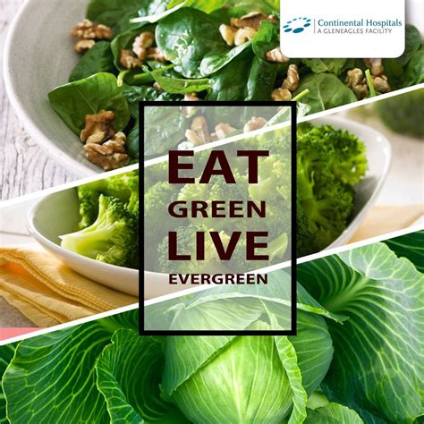 The Significance of Nutrient-Rich Greens in Aspiring to a Wellness-Inspired Existence